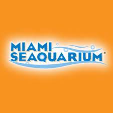 MIAMI SEAQUARIUM 